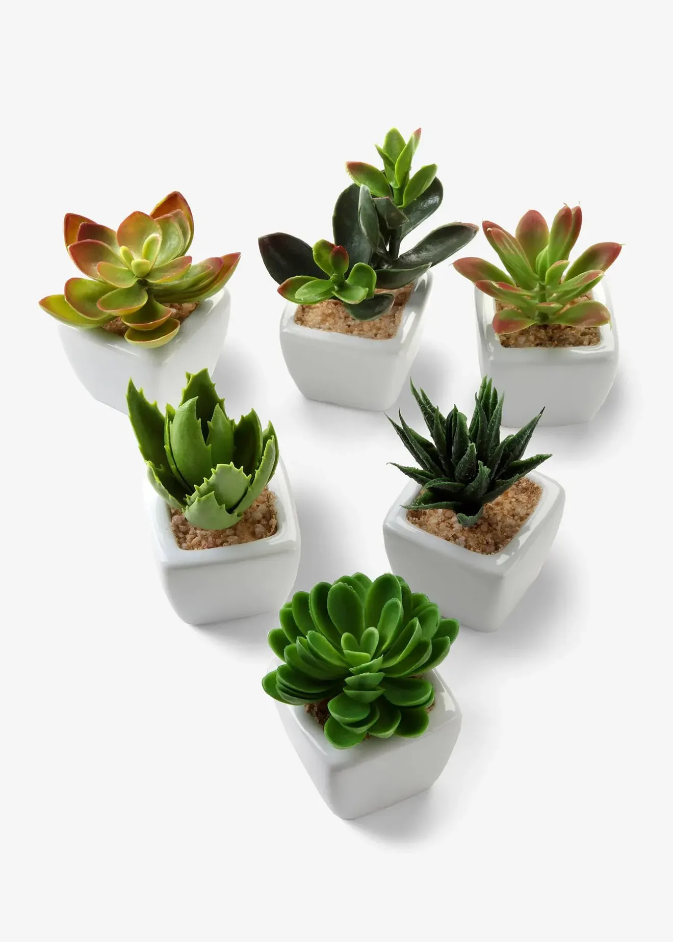 bonprix Jardin & Balcon·Déco De Jardin & Éclairage|Accessoires Déco|Mini-succulentes artificielles (Ens. 6 pces.)