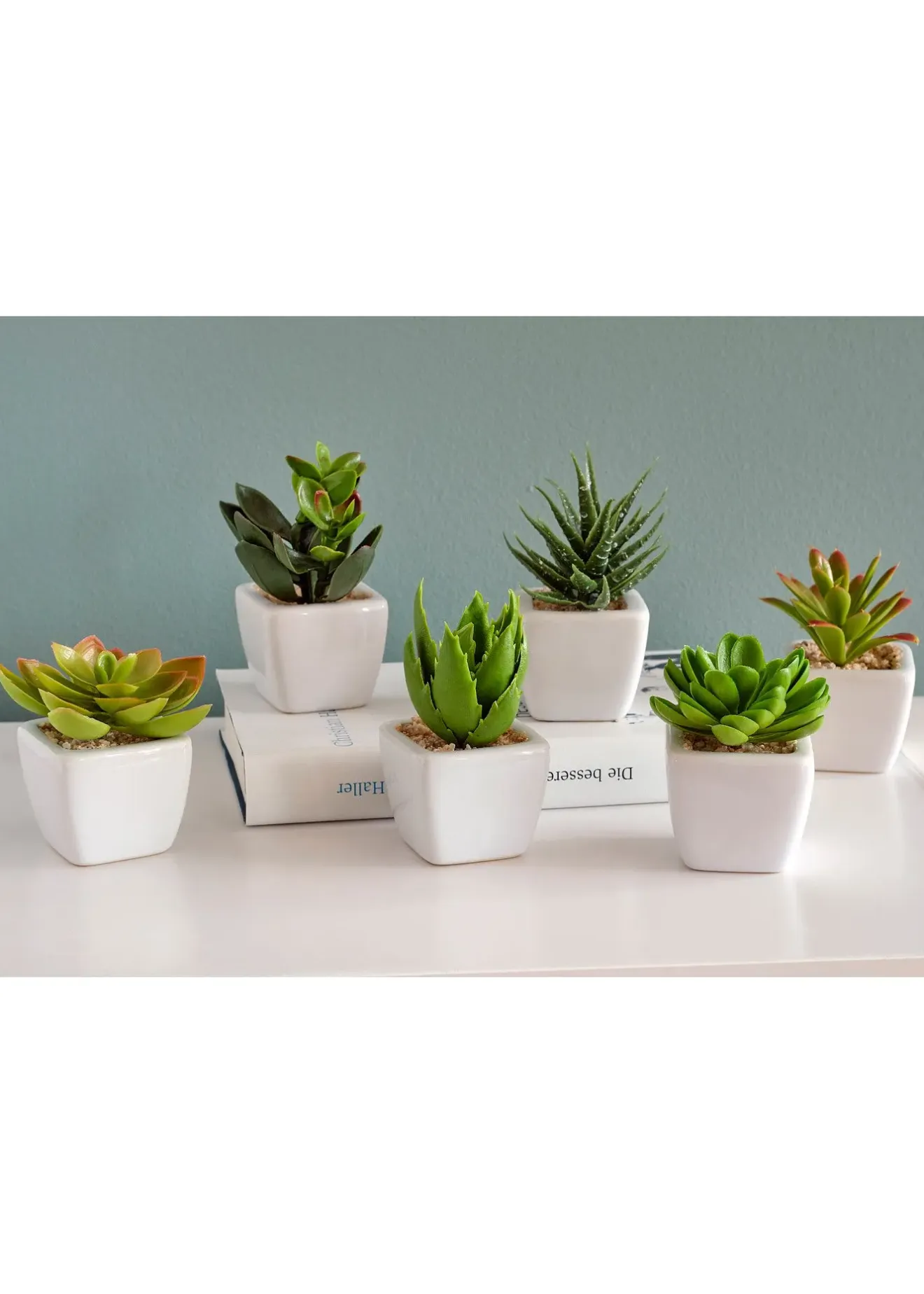 bonprix Jardin & Balcon·Déco De Jardin & Éclairage|Accessoires Déco|Mini-succulentes artificielles (Ens. 6 pces.)