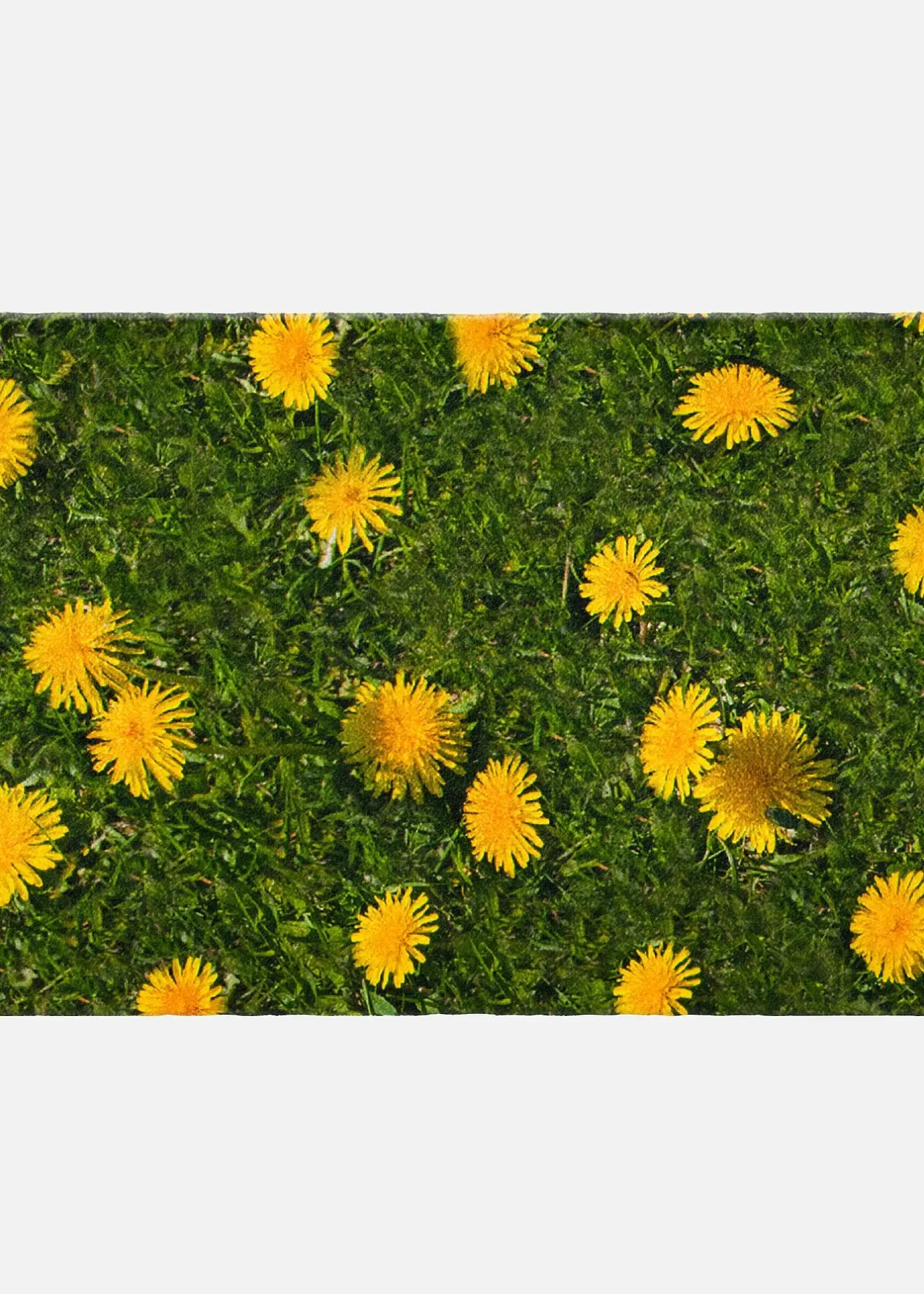 bonprix Couloir·Tapis D'Entrée|Tapis D'Entrée|Paillasson imprimé pissenlit