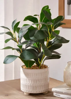 bonprix Accessoires Déco|Plante artificielle en pot