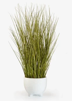 bonprix Accessoires Déco|Plante artificielle en pot