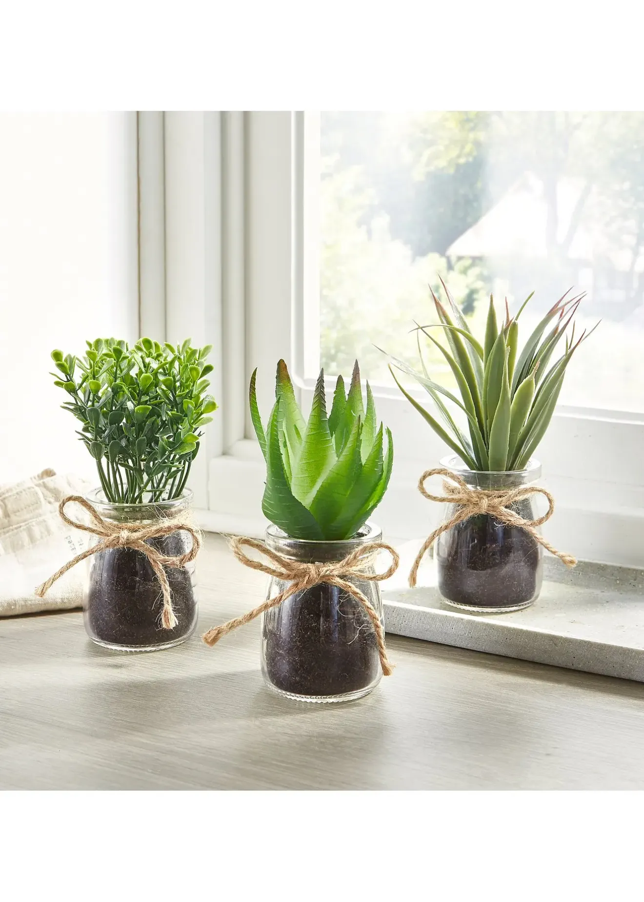 bonprix Succulentes artificielles en pot de verre (Ens. 3 pces.)| Jardin & Balcon·Déco De Jardin & Éclairage|Accessoires Déco
